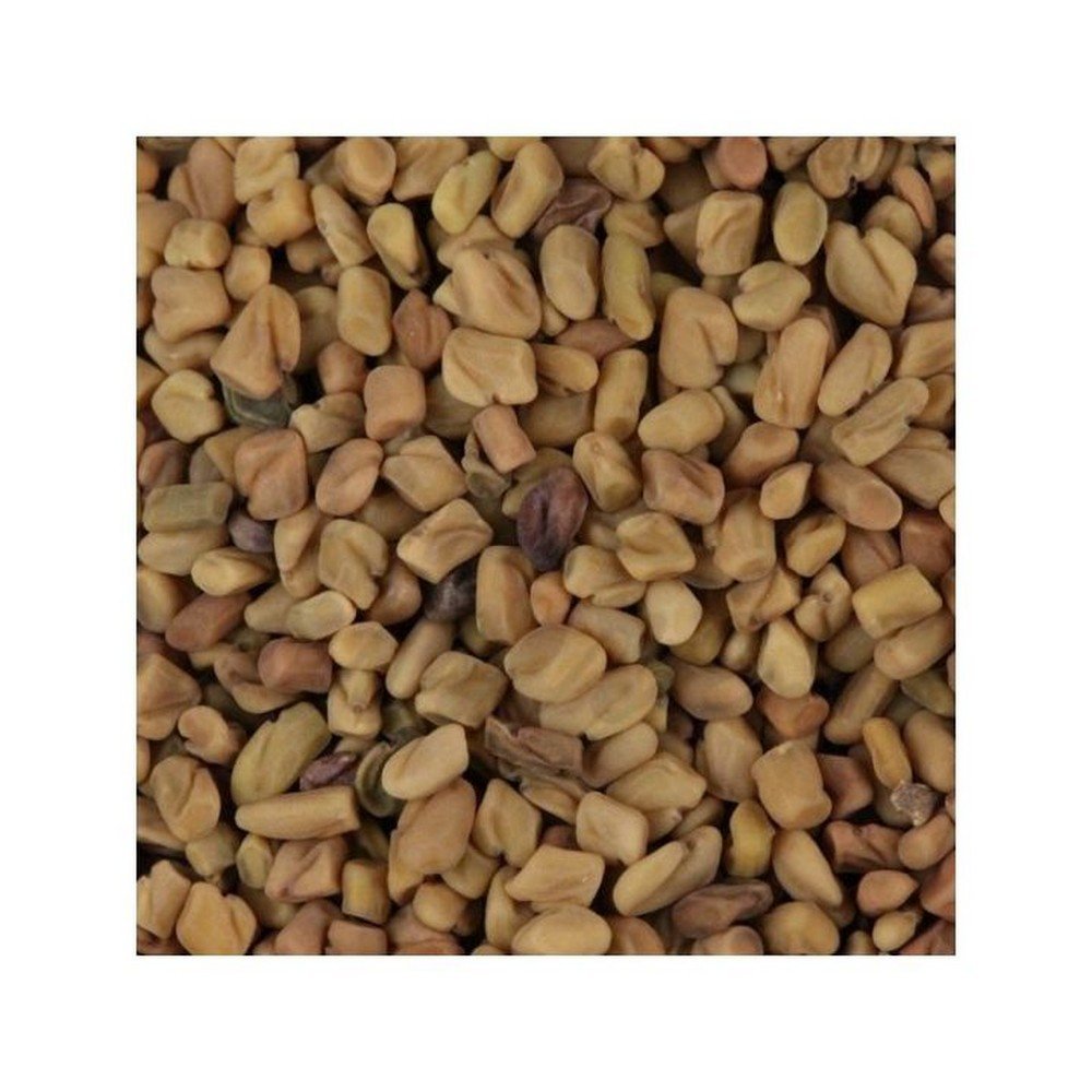 FENUGREEK SEED IPHYM Herbalism Trigonella foenum-graecum L. FENUGREEK SEED IPHYM Herbalism Trigonella foenum-graecum L.