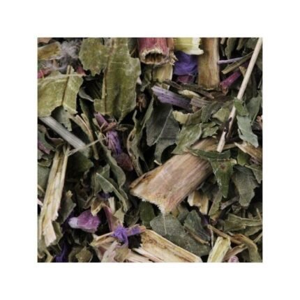 Fireweed plant with small flowers cut IPHYM Herb Epilobium parviflorum